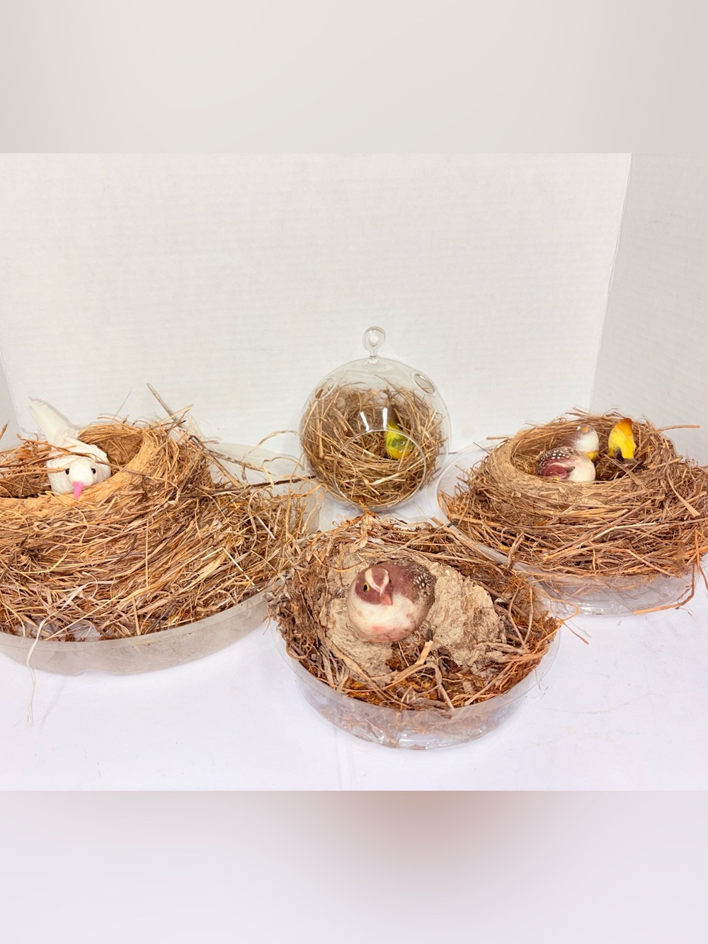 Birds Nests